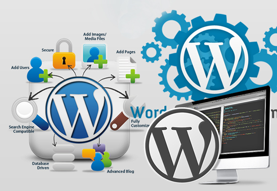 Công ty thiết kế web bằng WordPress