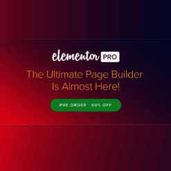 Plugin Elementor Pro
