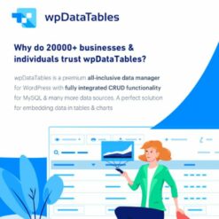 wpDataTables - Tables and Charts Manager for WordPress