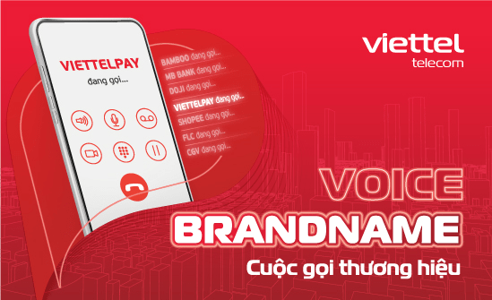 dịch vụ voice brandname