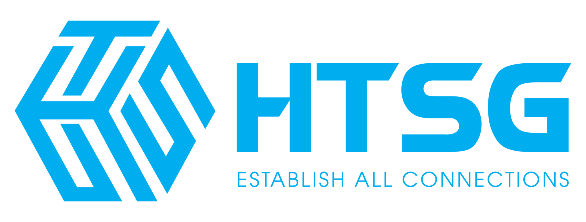 Logo HTSG 01 2048x778 1