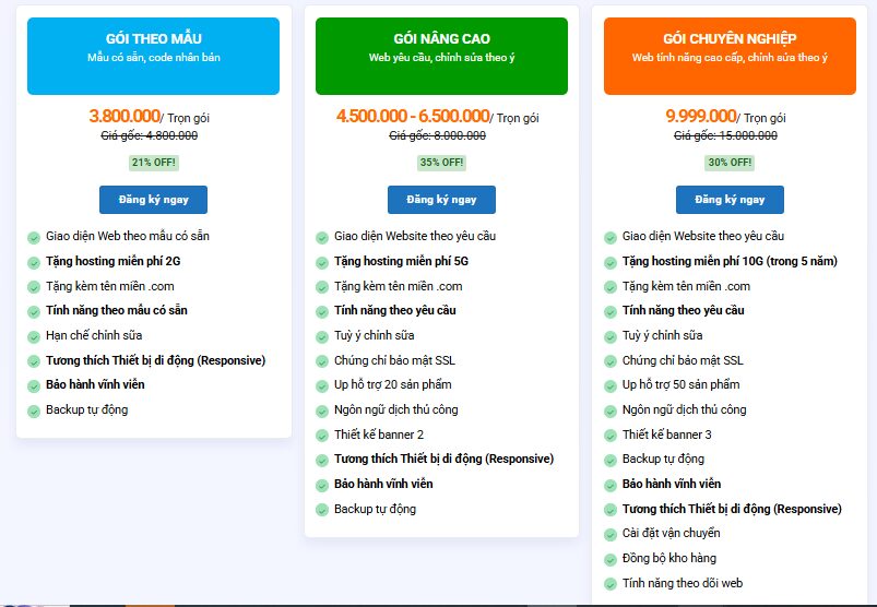 Thiết kế website tại Đà Nẵng đẹp, tốc độ nhanh, chuẩn SEO thiet ke website tai da nang 6