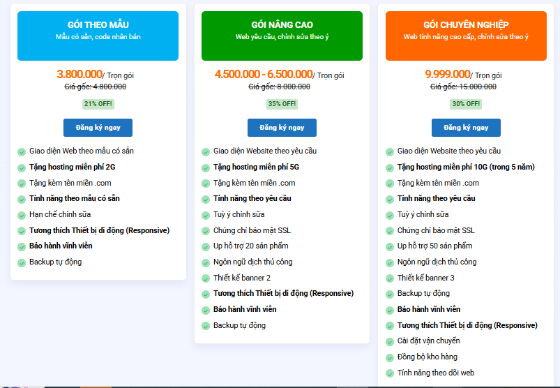 Thiết kế website tại Đà Nẵng đẹp, tốc độ nhanh, chuẩn SEO thiet ke website tai da nang 6
