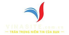 Thiết kế website chuyên nghiệp Vinasite.com.vn